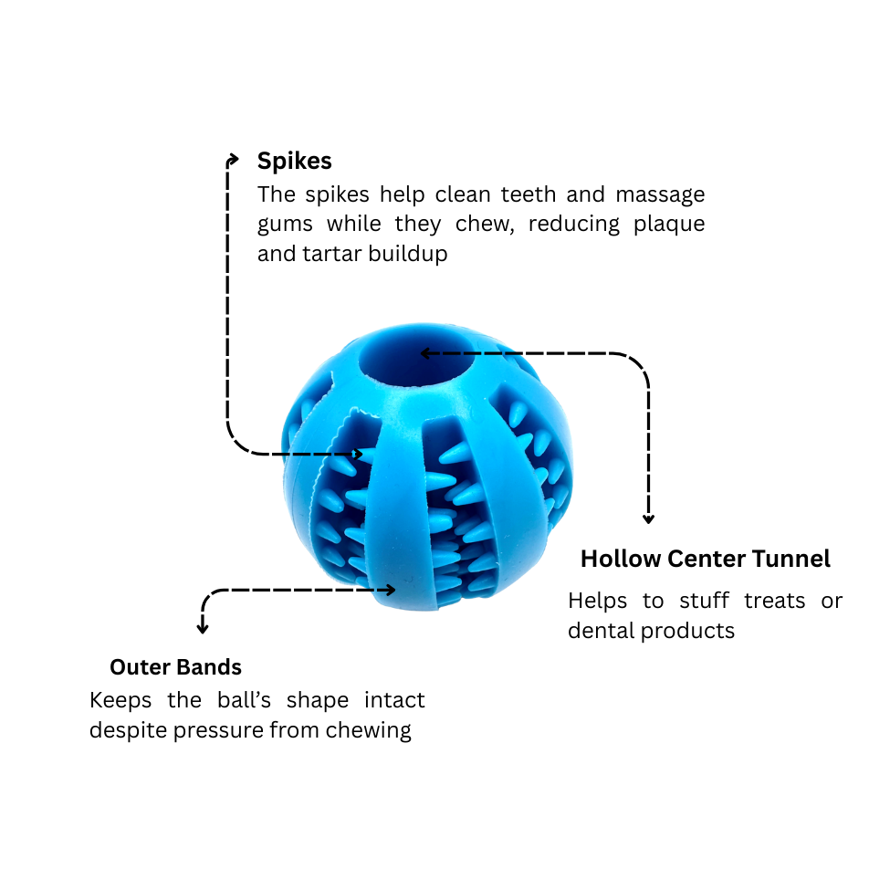 Oggy Pro Dental Wellness Ball